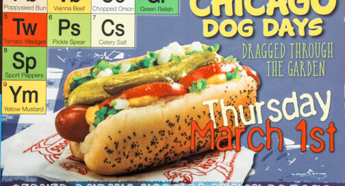 chicago dog days graphic - custom envelopes