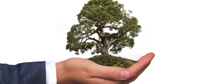 hand holding a small tree - printed packaging