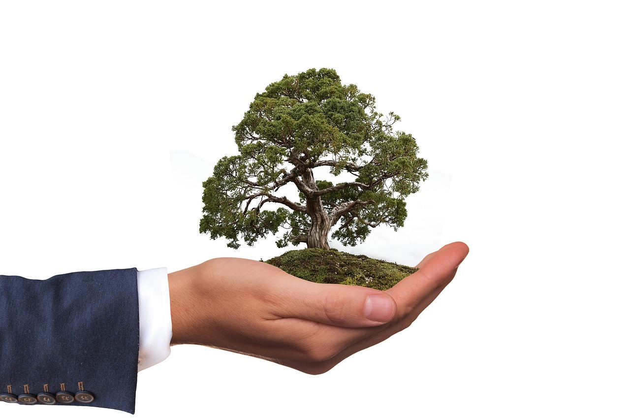 hand holding a small tree - printed packaging